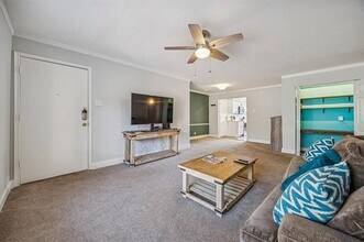 10019 Regal Park Ln in Dallas, TX - Building Photo - Building Photo