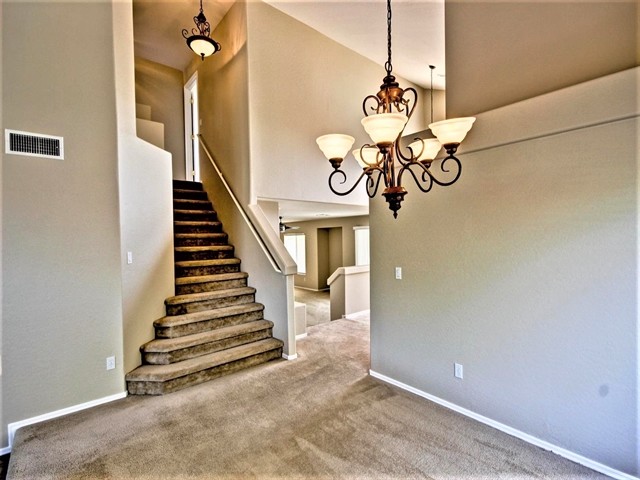 4817 W Pedro Ln in Phoenix, AZ - Building Photo - Building Photo