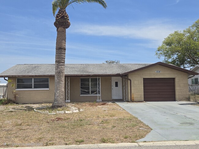 10138 Amadeus Dr