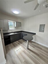 173 NW 36th St in Miami, FL - Building Photo - Building Photo