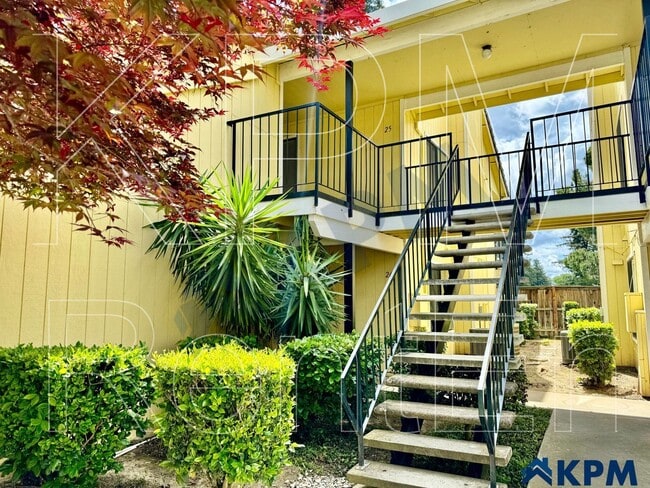 1311 W Century Blvd in Lodi, CA - Building Photo - Building Photo
