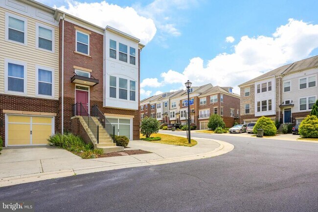 22464 Faith Terrace in Ashburn, VA - Building Photo - Building Photo