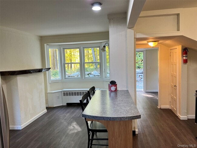 294 Croton Falls Rd in Mahopac, NY - Building Photo - Building Photo