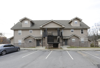 Acton Woods Apartments in Candler, NC - Building Photo - Building Photo