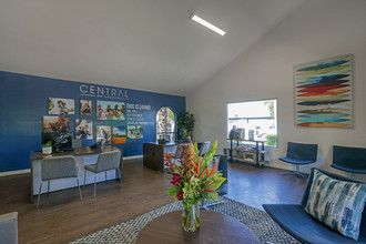 Central on Broadway in Mesa, AZ - Building Photo - Building Photo