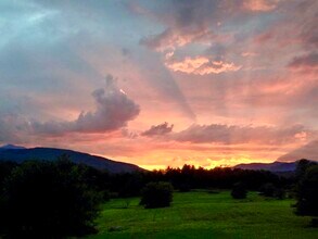 475 Black Bear Holw in Waterbury, VT - Building Photo - Building Photo