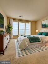 800 Grand Champion Dr in Rockville, MD - Building Photo