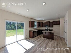 817 Golden Plum Ln in Zebulon, NC - Building Photo - Building Photo