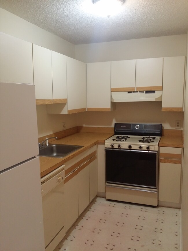 22 Kenmar Dr, Unit 206 in Billerica, MA - Building Photo - Building Photo
