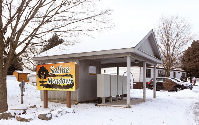 Saline Meadows in Saline, MI - Foto de edificio - Building Photo