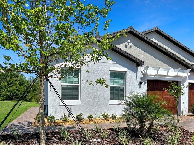 16831 Forge Surf St in Land O Lakes, FL - Building Photo - Building Photo