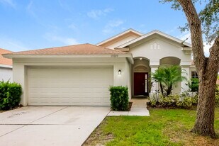 10609 Egret Haven Ln in Riverview, FL - Building Photo