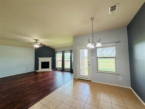 905 Golden Bear Ln in McKinney, TX - Building Photo - Building Photo