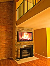 5955 Meadow Dr in Lisle, IL - Building Photo - Building Photo