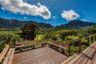 1736 Ahina Rd in Lihue, HI - Building Photo