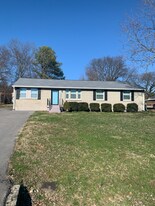 317 Bonnaridge Dr in Nashville, TN - Building Photo
