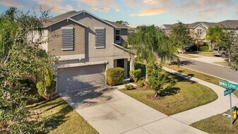17201 Beach Buttercup Pl in Wimauma, FL - Building Photo