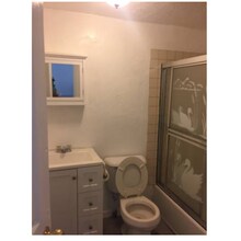8 Adella Pl in Boston, MA - Building Photo - Building Photo