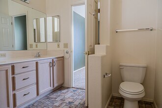 11146 N Desert Flower Dr in Tucson, AZ - Building Photo - Building Photo