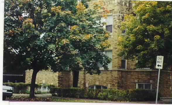 6000-6002 S Whipple St in Chicago, IL - Building Photo