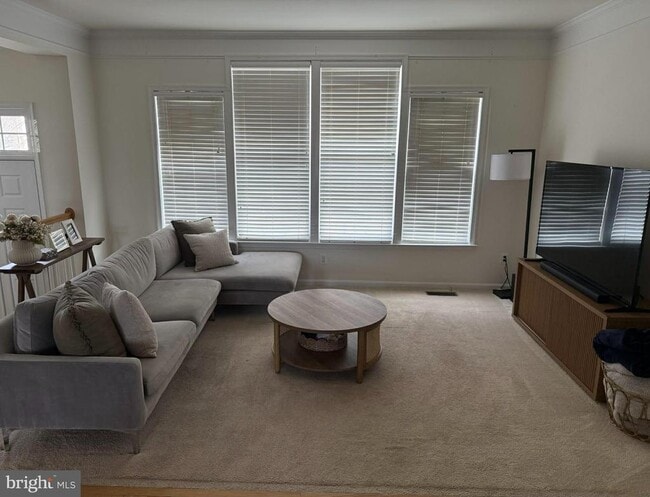 41859 Cinnabar Square in Stone Ridge, VA - Building Photo - Building Photo