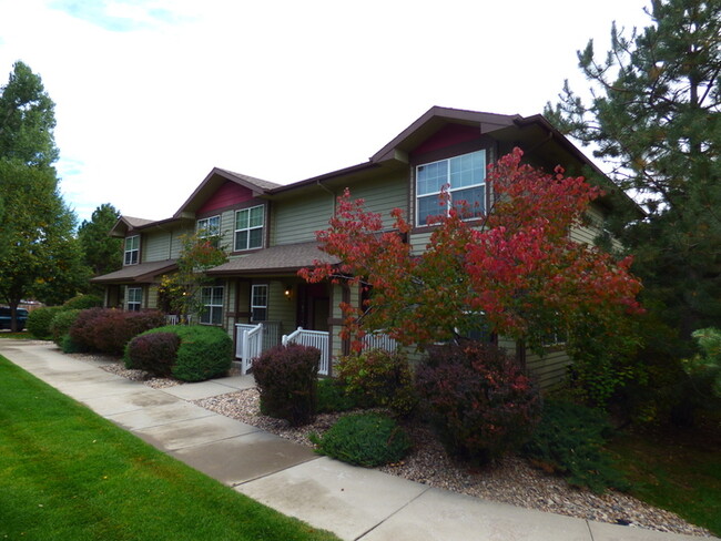 4509 Starflower Dr in Fort Collins, CO - Foto de edificio - Building Photo