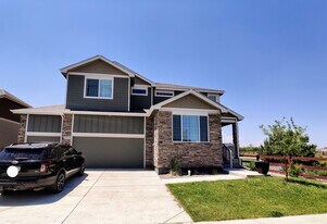 2036 Day Spring Dr in Windsor, CO - Building Photo