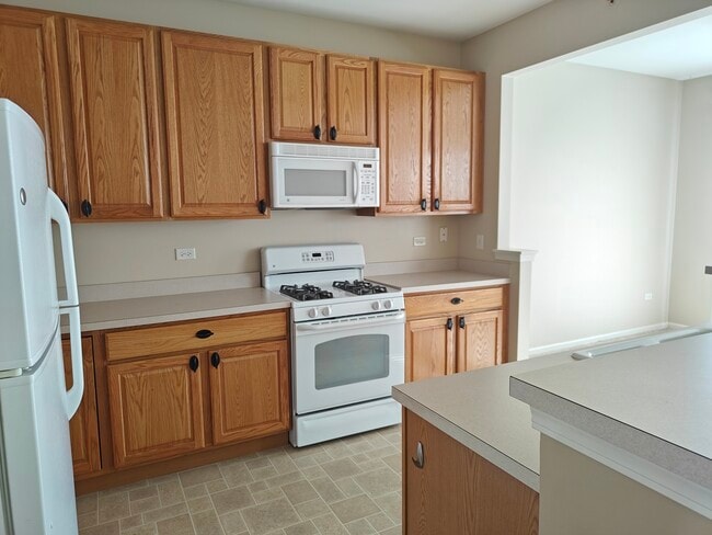 13571 Hemlock Rd in Huntley, IL - Building Photo - Building Photo