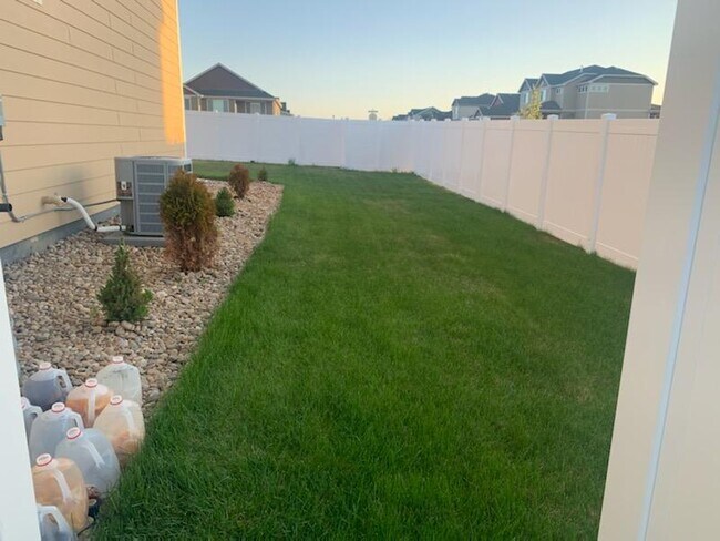 1040 Mount Oxford Ave in Windsor, CO - Building Photo - Building Photo