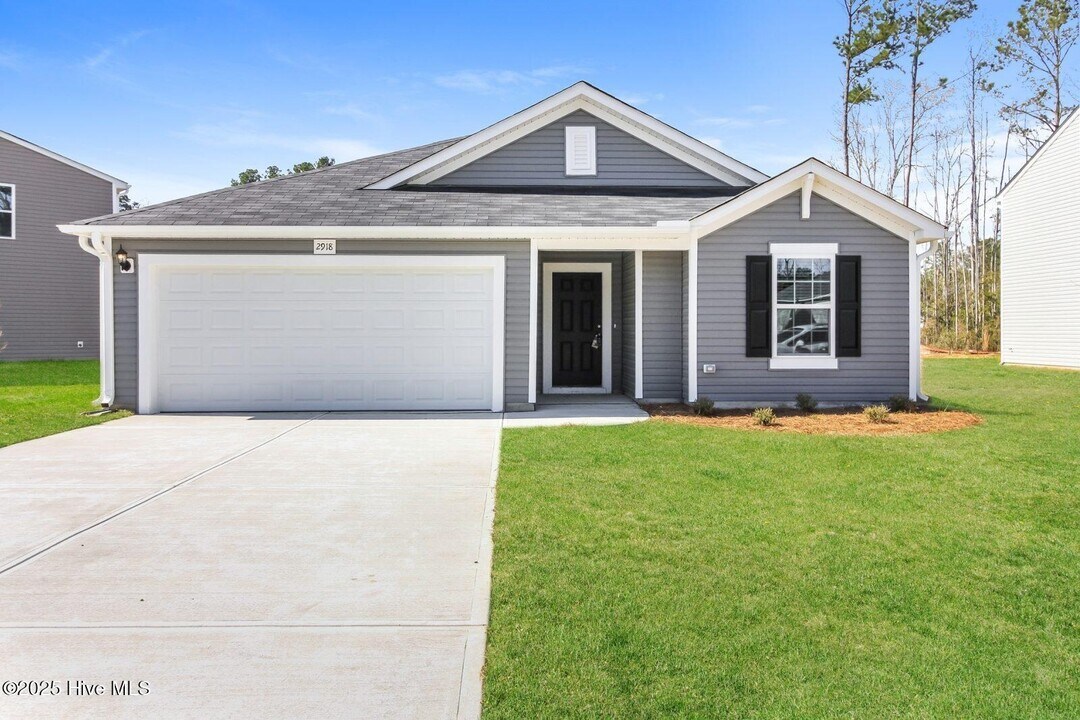 2918 Ember Brooke Ct in Castle Hayne, NC - Building Photo