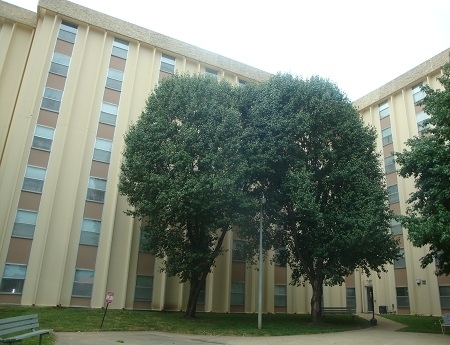 Sunflower Apartments in Shawnee, KS - Foto de edificio - Building Photo