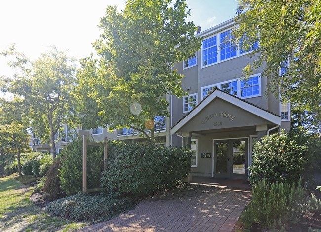 Cameo Terrace