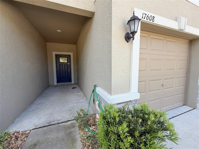 17608 Nectar Flume Dr in Land O Lakes, FL - Building Photo - Building Photo