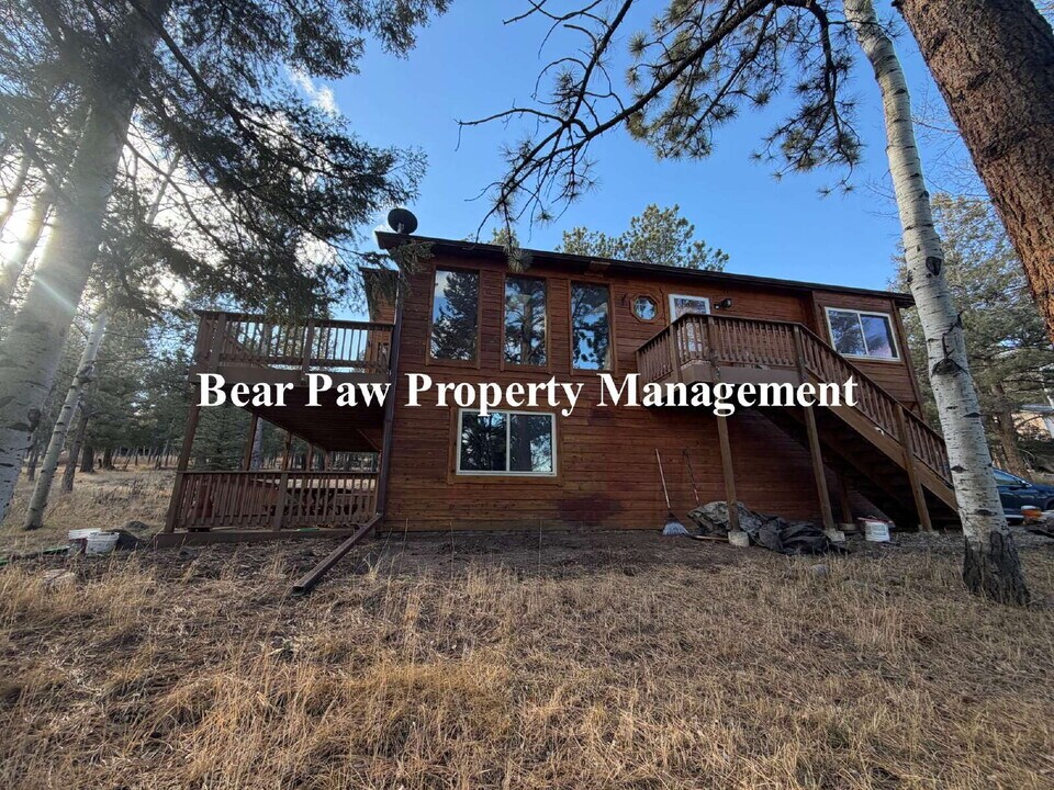 1289 Burland Dr in Bailey, CO - Building Photo