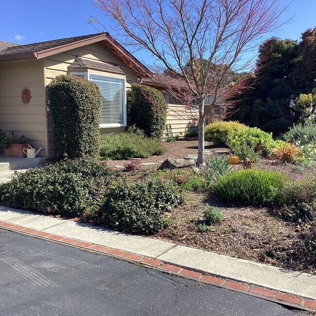 215 Danube Dr in Soquel, CA - Building Photo - Building Photo