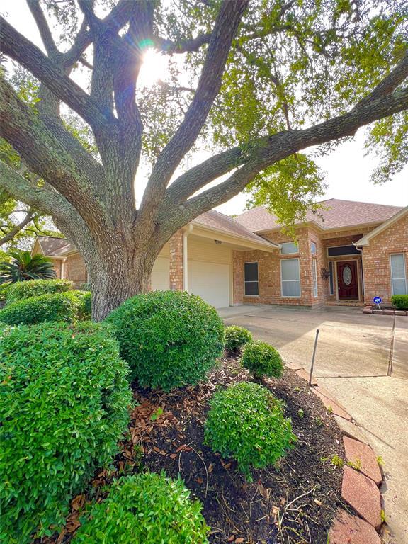4306 Shady Pine Dr