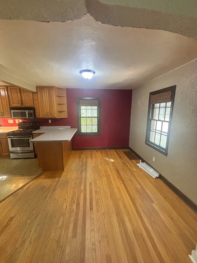 203 Alder Ave in Rockford, IL - Building Photo - Building Photo