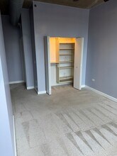 1305 S Michigan Ave in Chicago, IL - Building Photo - Building Photo