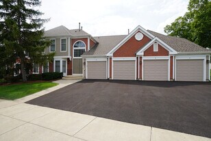 131 Red Fox Ln in Elk Grove Village, IL - Building Photo