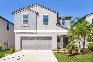 10237 Carloway Hills Dr in Wimauma, FL - Building Photo