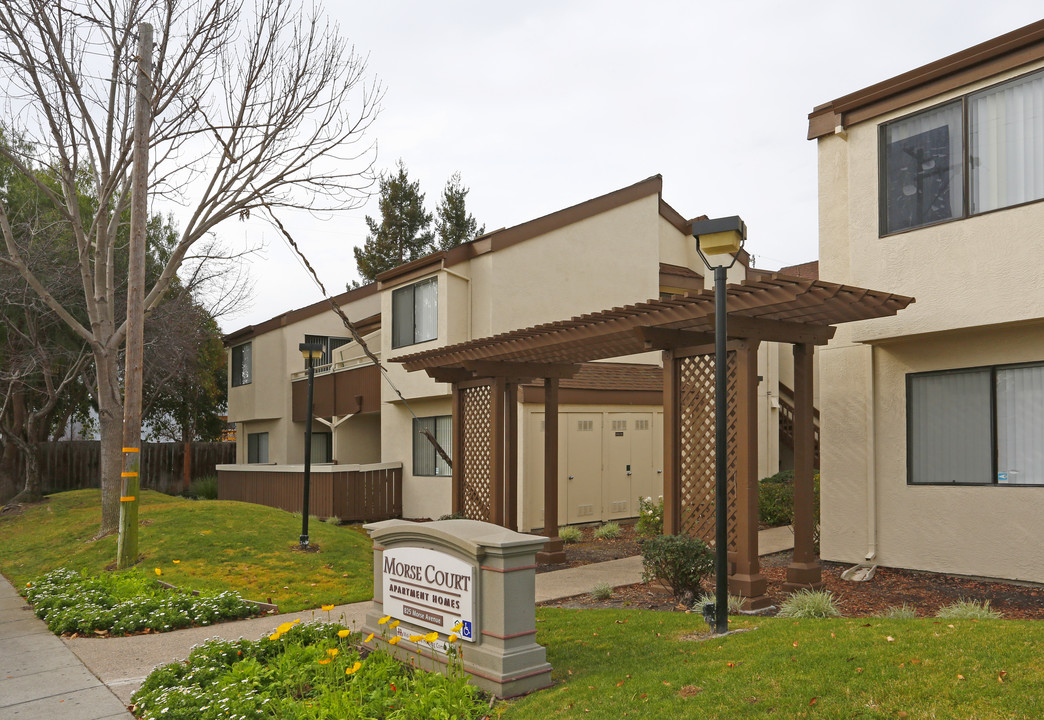 Morse Court Apartments in Sunnyvale, CA - Building Photo