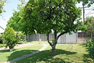2314 E Cornell Ave in Fresno, CA - Building Photo - Building Photo
