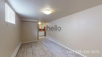 1041 Ammons St in Denver, CO - Building Photo - Building Photo