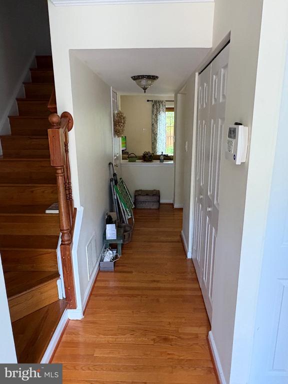 6602 Deer Gap Ct in Alexandria, VA - Building Photo - Building Photo