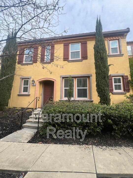 3203 Vittoria Loop in Dublin, CA - Building Photo