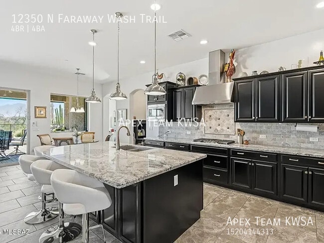 12350 N Faraway Wash Trail in Marana, AZ - Building Photo - Building Photo