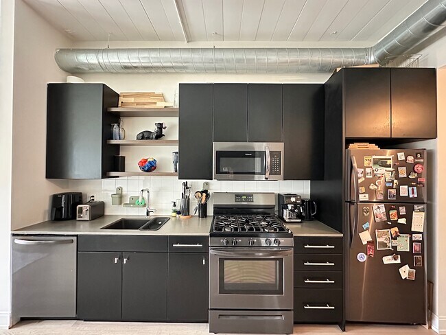 941 W Belmont Ave, Unit A04K in Chicago, IL - Building Photo - Building Photo