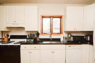 1351 N Wolcott Ave in Chicago, IL - Building Photo - Building Photo