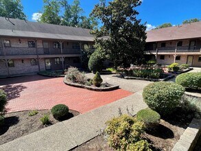 221 N Clifton Ave in Louisville, KY - Building Photo - Building Photo