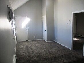 711 S Towanda Ave in Normal, IL - Building Photo - Building Photo